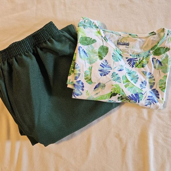 Complete outfit Alfred Dunner  Pants and Basic Aditions Top - Picture 1 of 11